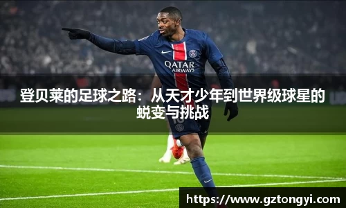 星空.综合体育官网